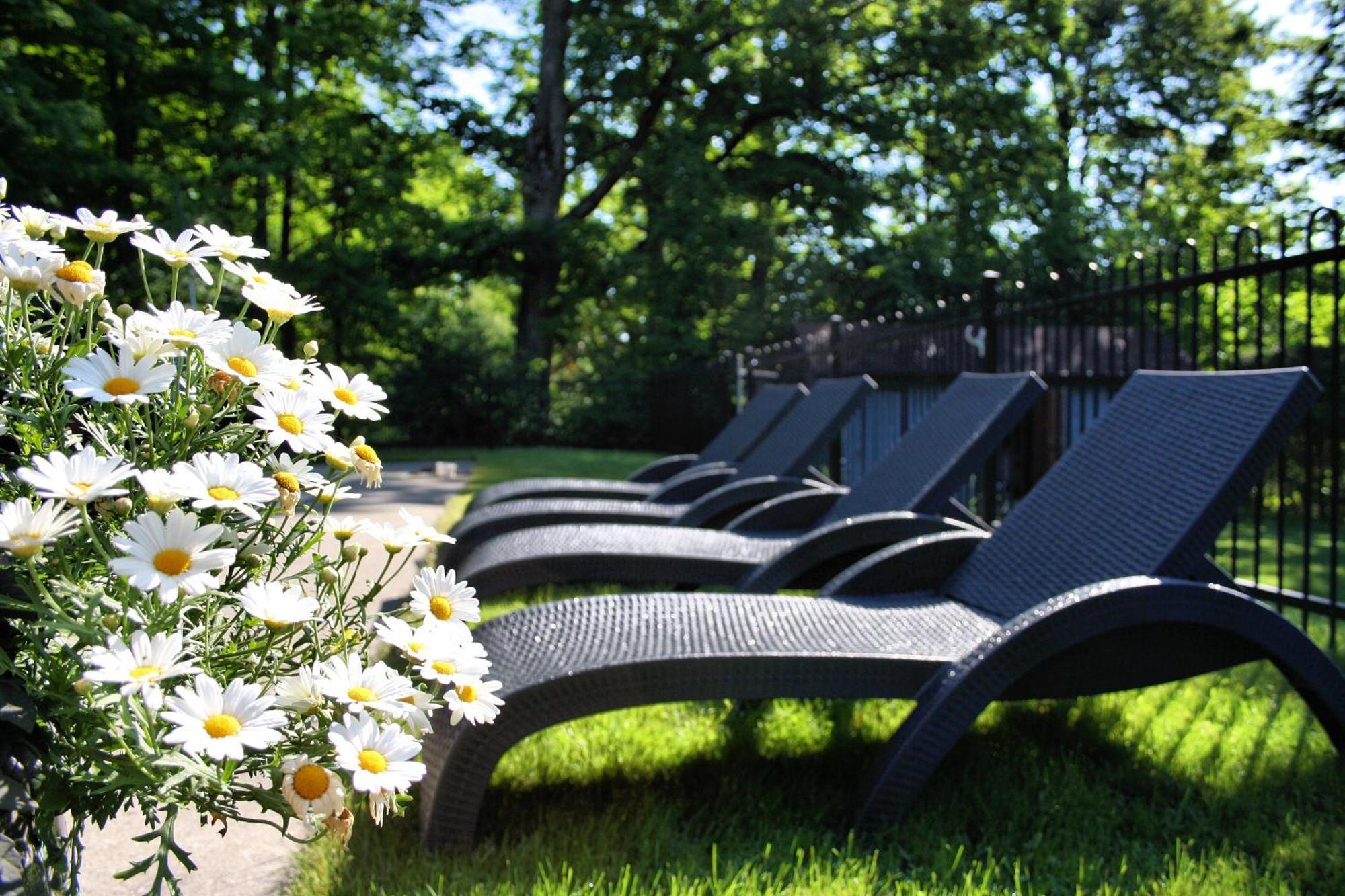 Hotel Domaine Jolivent Lac-Brome Exterior foto